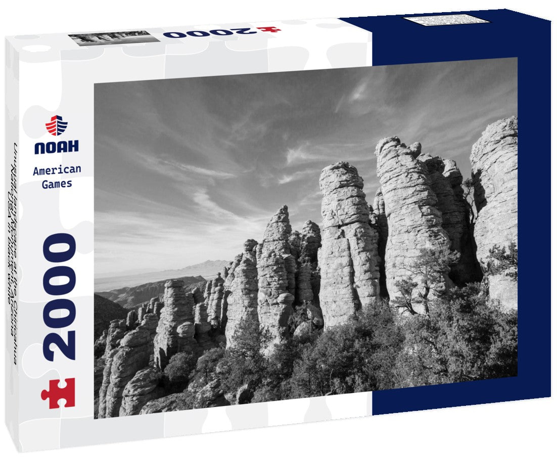 Noah Jigsaw Puzzle Unusual landscape at the Chiricahua National Monument, Arizona, USA in black white 2000 pieces
