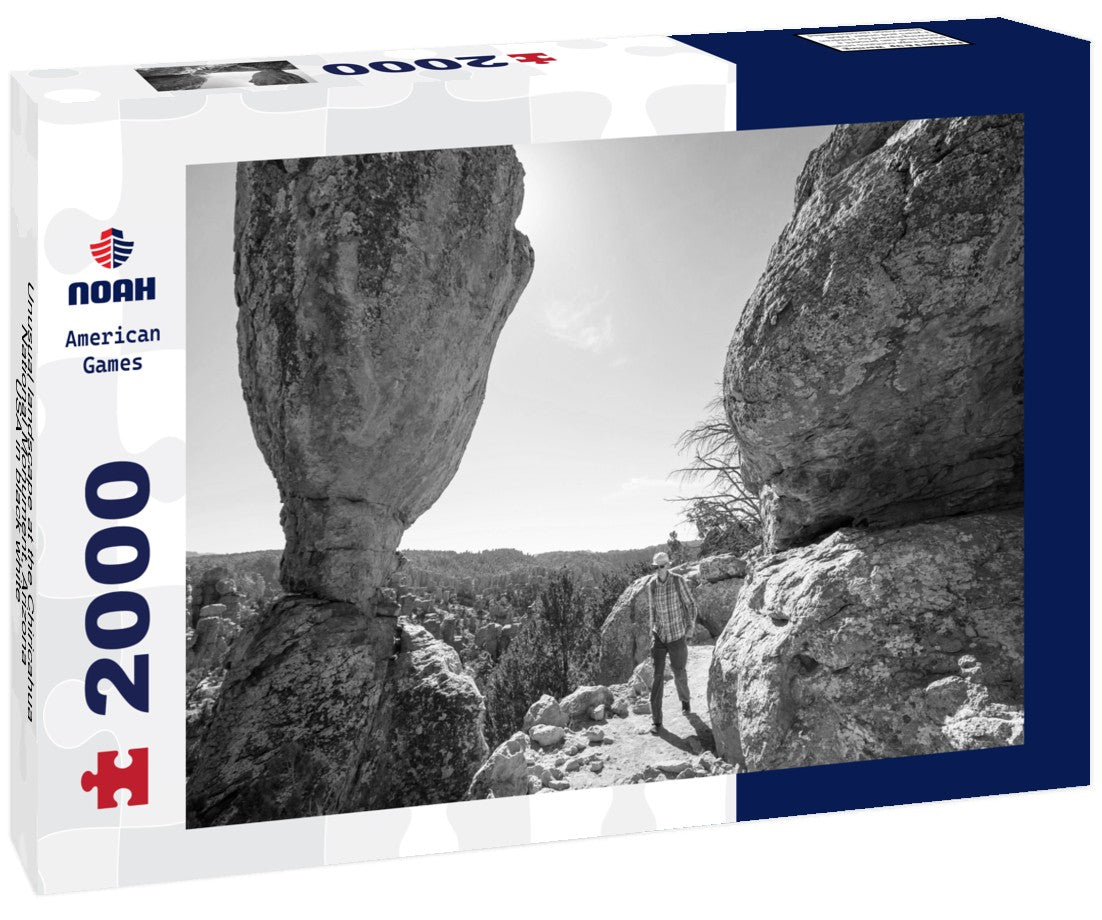 Noah Jigsaw Puzzle Unusual landscape at the Chiricahua National Monument, Arizona, USA in black white 2000 pieces
