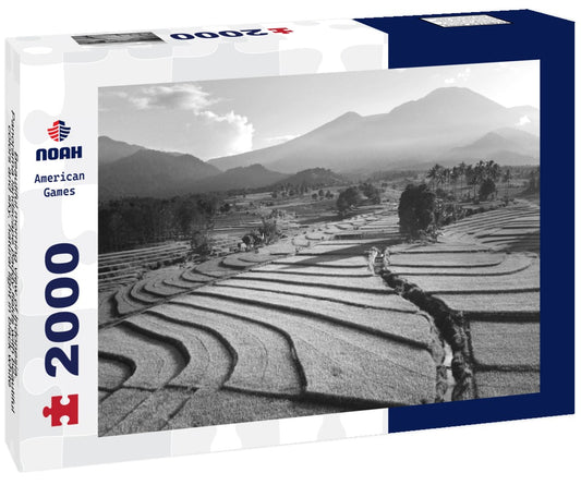 Noah Jigsaw Puzzle Beautiful morning view of Indonesia. Panorama landscape paddy fields with beautiful colors and sky, natural light in black white 2000 pieces