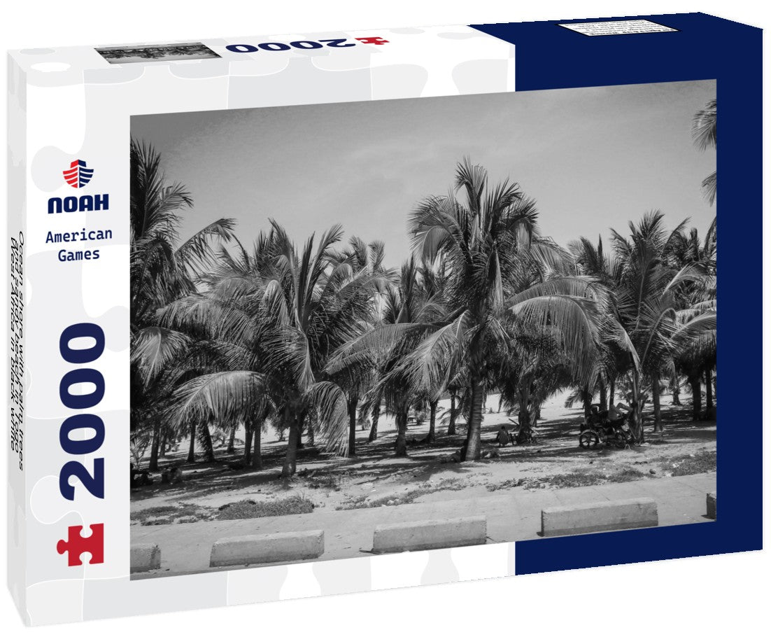 Noah Jigsaw Puzzle Ocean shore with palm trees and sandy beach in Togo, West Africa in black white 2000 pieces