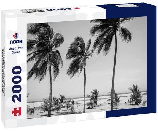 Noah Jigsaw Puzzle Ocean shore with palm trees and sandy beach in Togo, West Africa in black white 2000 pieces