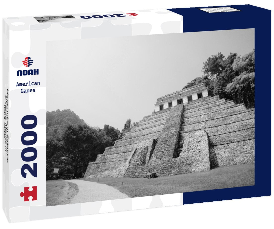 Noah Jigsaw Puzzle Mayan ruins in Palenque, Chiapas, Mexico in black white 2000 pieces