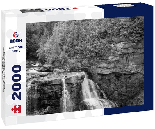 Noah Jigsaw Puzzle Blackwater Falls West Virginia Stream Landscape in black white 2000 pieces