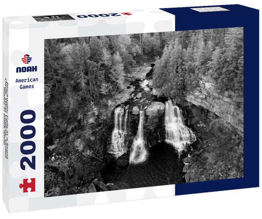 Noah Jigsaw Puzzle Blackwater Falls in a forest, Davis, West Virginia, United States in black white 2000 pieces