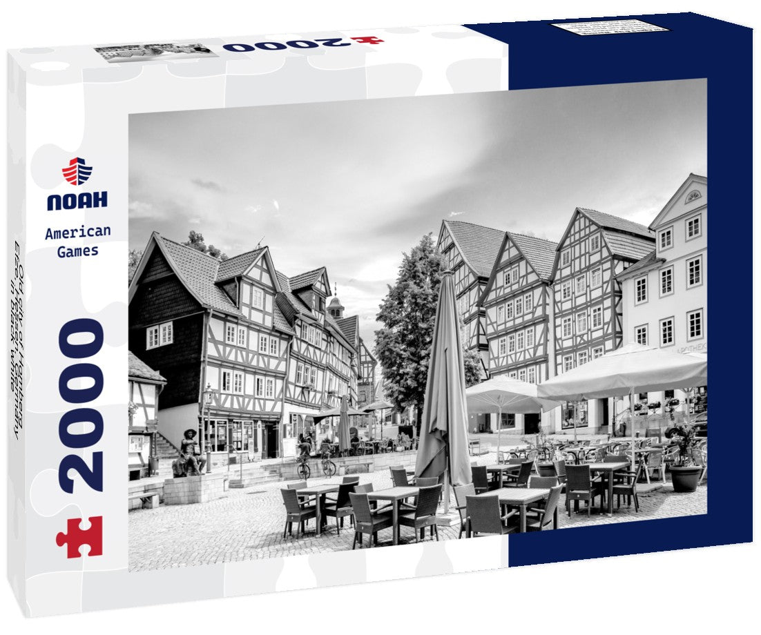 Noah Jigsaw Puzzle Old city of Homberg Efze, Hessen, Germany in black white 2000 pieces
