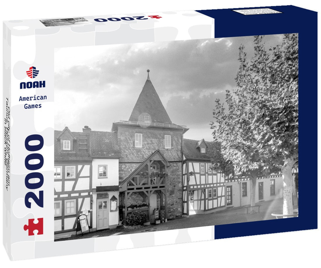 Noah Jigsaw Puzzle Old city of Hofheim am Taunus, Hessen, Germany in black white 2000 pieces