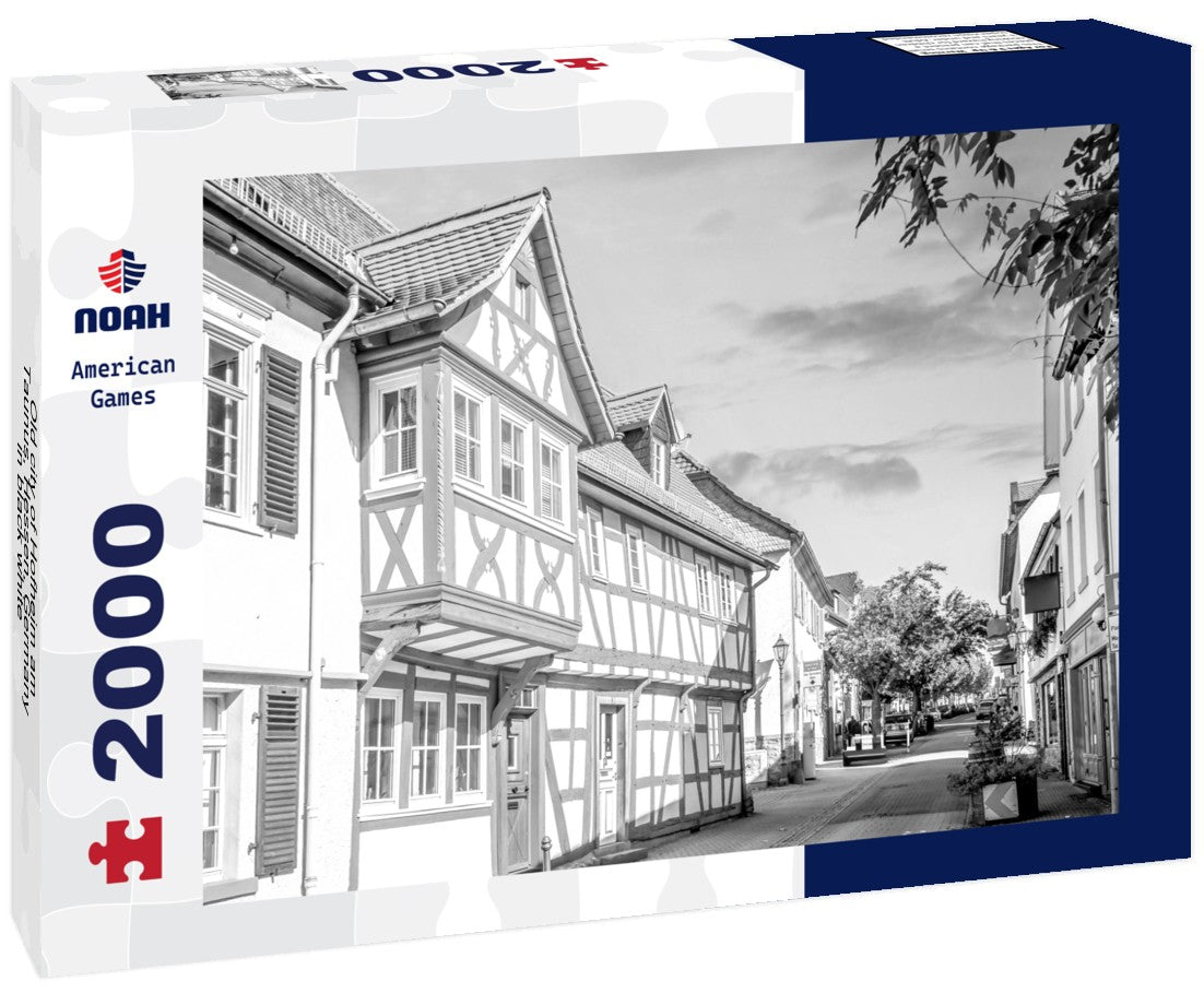 Noah Jigsaw Puzzle Old city of Hofheim am Taunus, Hessen, Germany in black white 2000 pieces