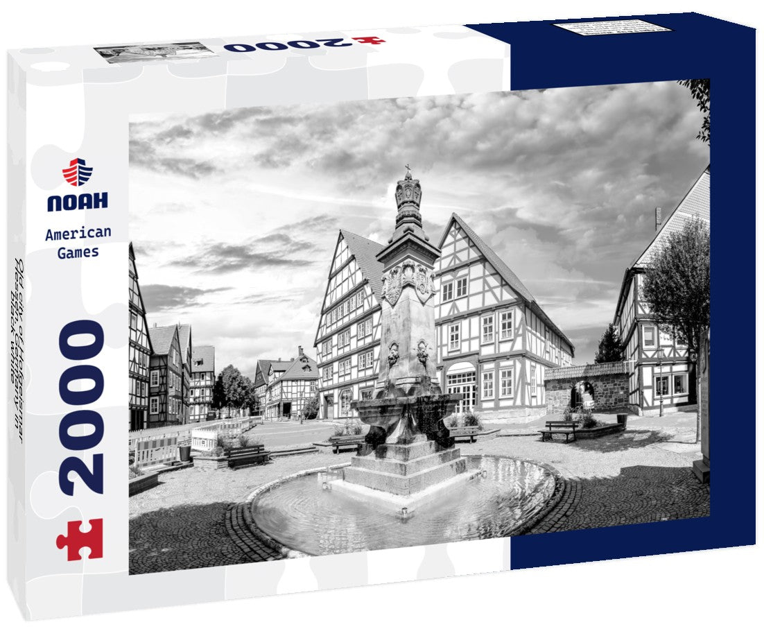 Noah Jigsaw Puzzle Old city of Hofgeismar, Hessen, Germany in black white 2000 pieces
