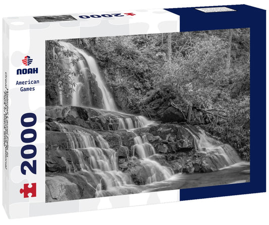 Noah Jigsaw Puzzle Waterfall Laurel Falls in Great Smoky Mountains National Park in black white 2000 pieces