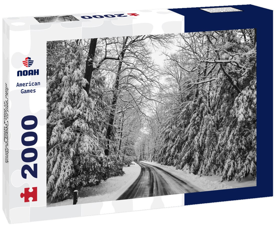 Noah Jigsaw Puzzle Icy road in Coopers Rock State Forest, West Virginia in black white 2000 pieces