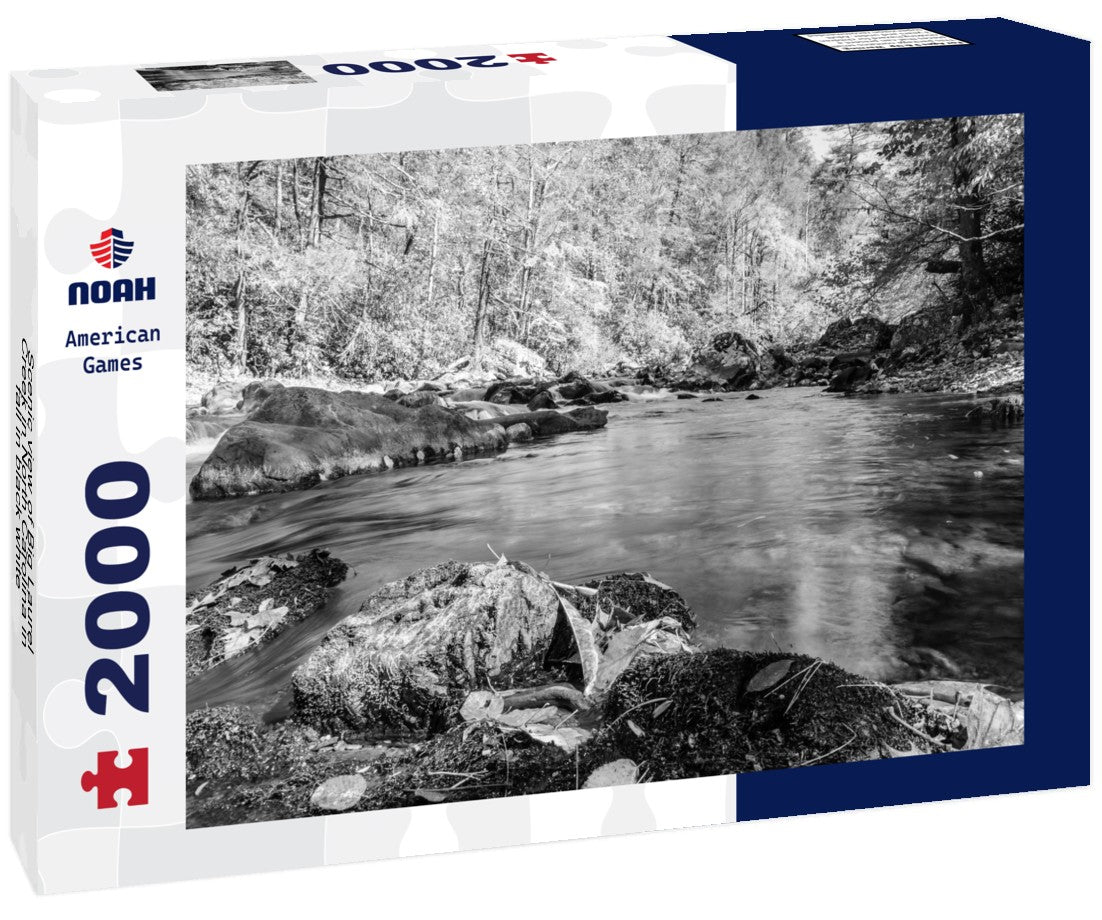 Noah Jigsaw Puzzle Scenic view of Big Laurel Creek in North Carolina in fall in black white 2000 pieces