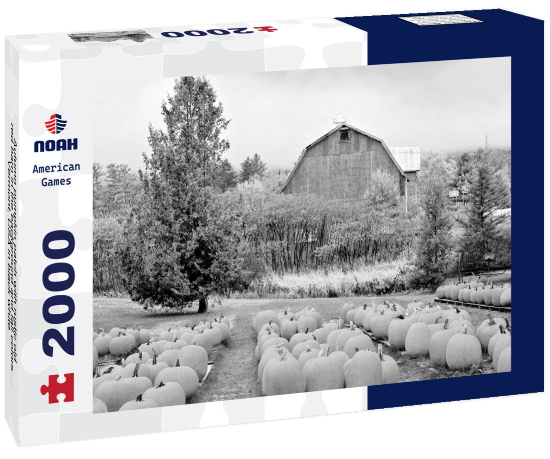 Noah Jigsaw Puzzle Autumn pumpkin patch with rustic old red barn in the background and fall colors, Vermont, USA in black white 2000 pieces