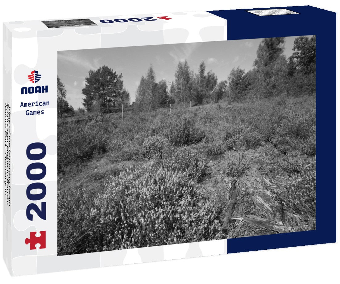 Noah Jigsaw Puzzle View of the blooming heath, Schönower Heide in Barnim Nature Park, Germany in black white 2000 pieces