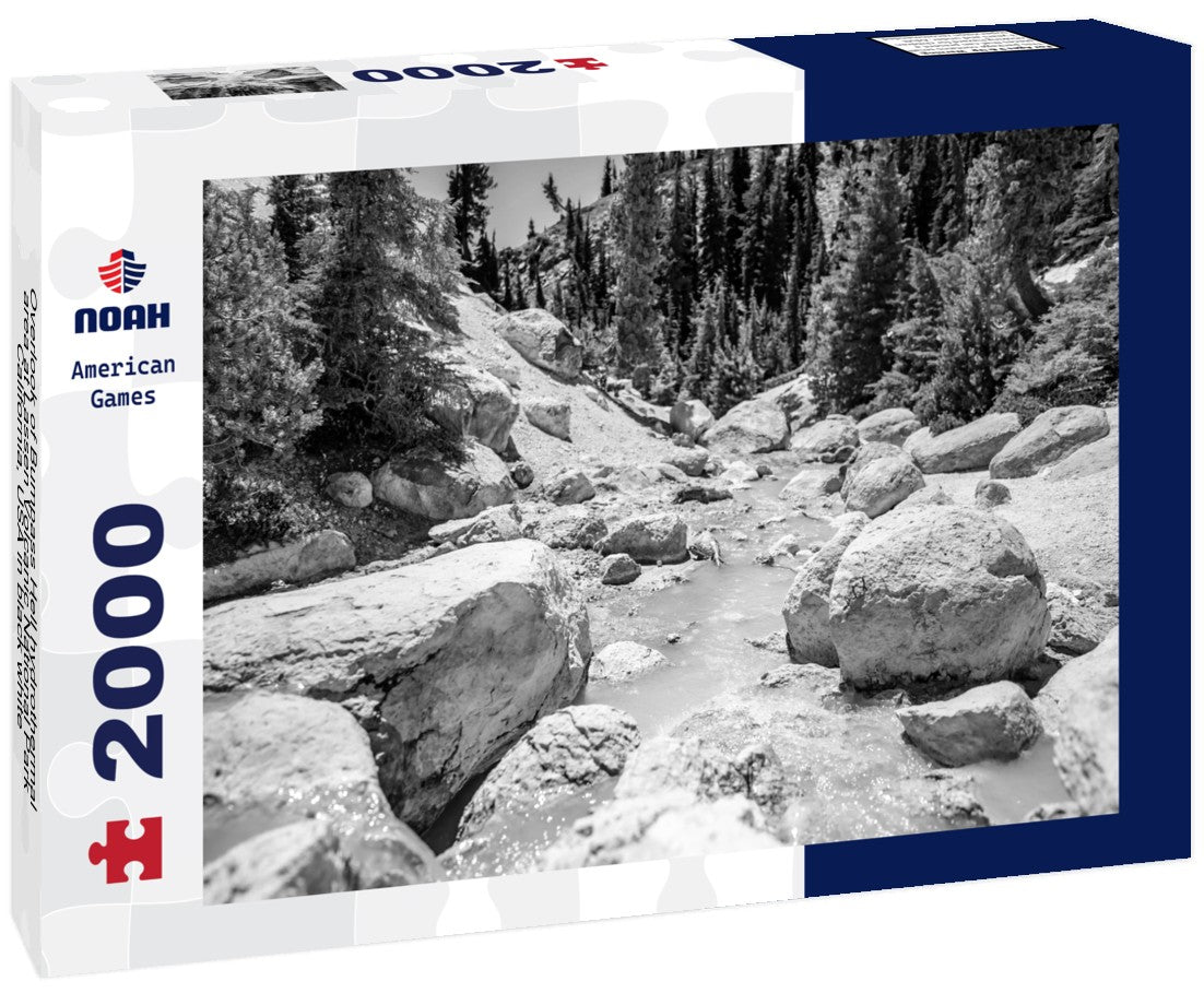 Noah Jigsaw Puzzle Overlook of Bumpass Hell hydrothermal area at Lassen Volcanic National Park, California, USA in black white 2000 pieces