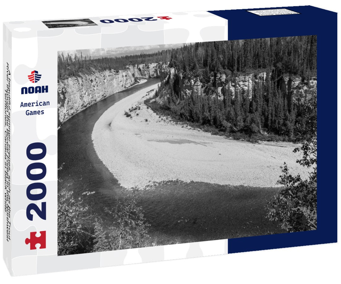 Noah Jigsaw Puzzle A beautiful summer scenes, such as the Trout River through the Boreal Forest in the Northwest Territories, Canada in black white 2000 pieces