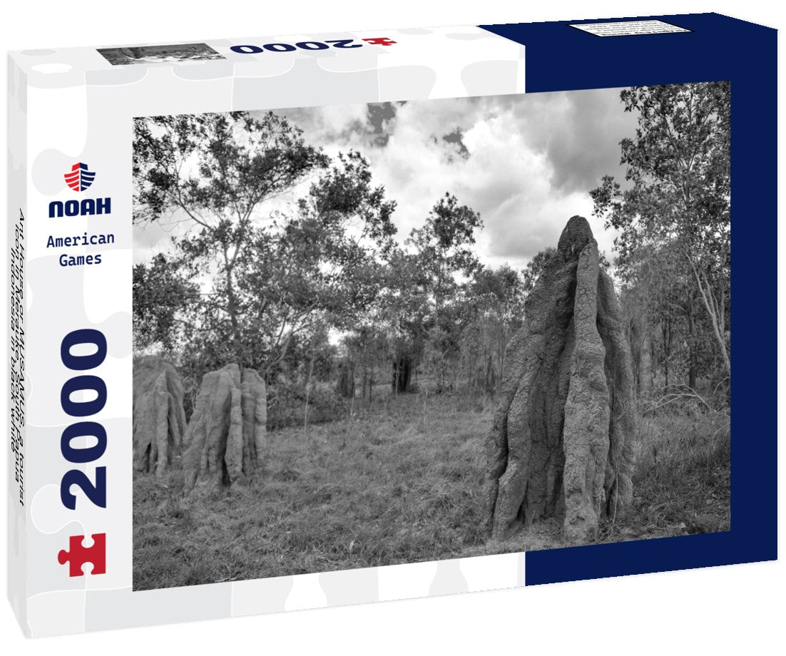 Noah Jigsaw Puzzle Ant House or MUSAMUS, a tourist icon in Merauke, South Papua, Indonesia in black white 2000 pieces