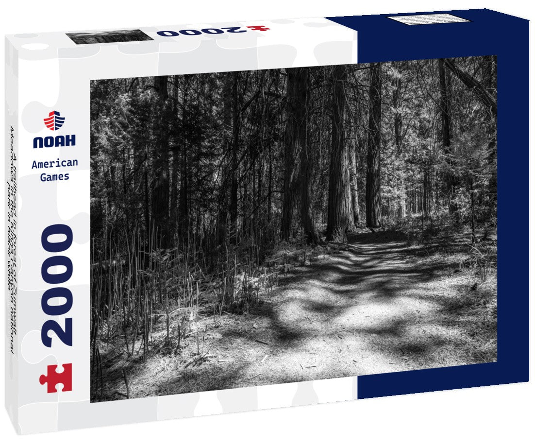 Noah Jigsaw Puzzle A trailhead in forest of Zumwalt Meadows in the Kings Canyon national park in black white 2000 pieces
