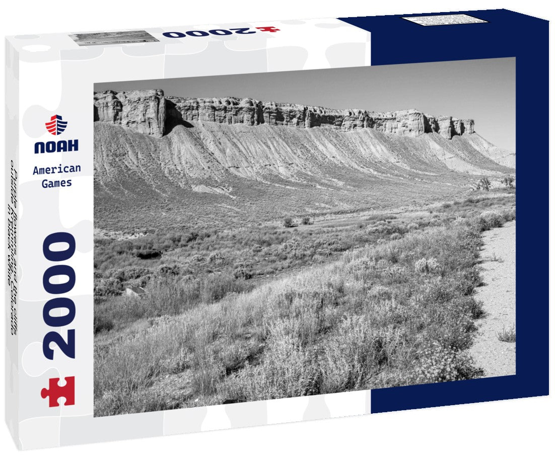 Noah Jigsaw Puzzle Purple flowers and the cliffs outside Kremmling, Colorado in black white 2000 pieces