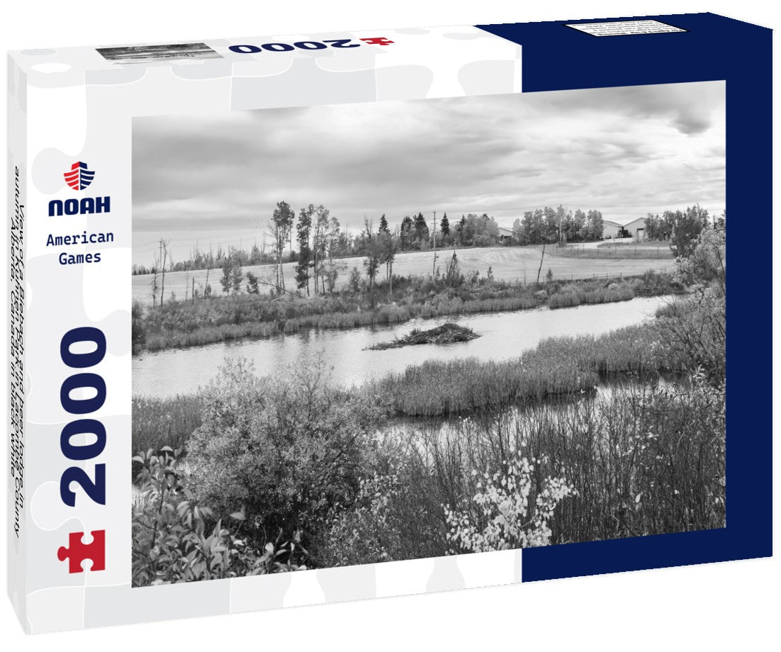 Noah Jigsaw Puzzle View of a Biebach and beer lodge in autumn in Kuhnen Park in Lacombe County, Alberta, Canada in black white 2000 pieces