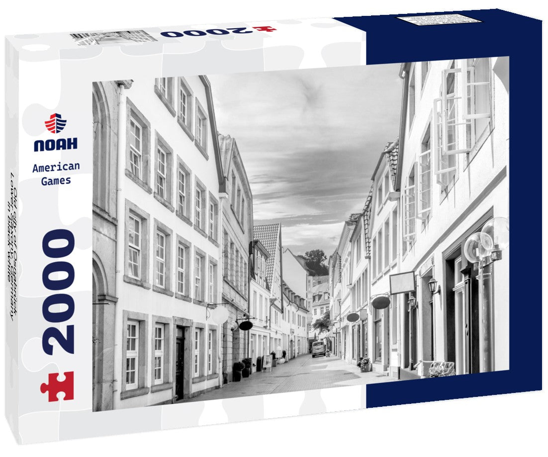 Noah Jigsaw Puzzle Old city of Osnabrück, Lower Saxony, Germany in black white 2000 pieces