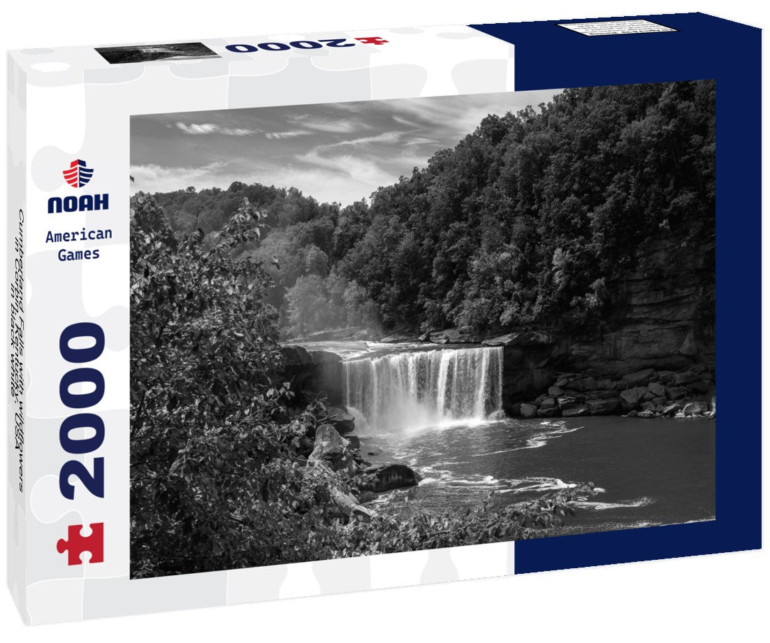 Noah Jigsaw Puzzle Cumberland Falls with wildflowers in Corbin, Kentucky, USA in black white 2000 pieces