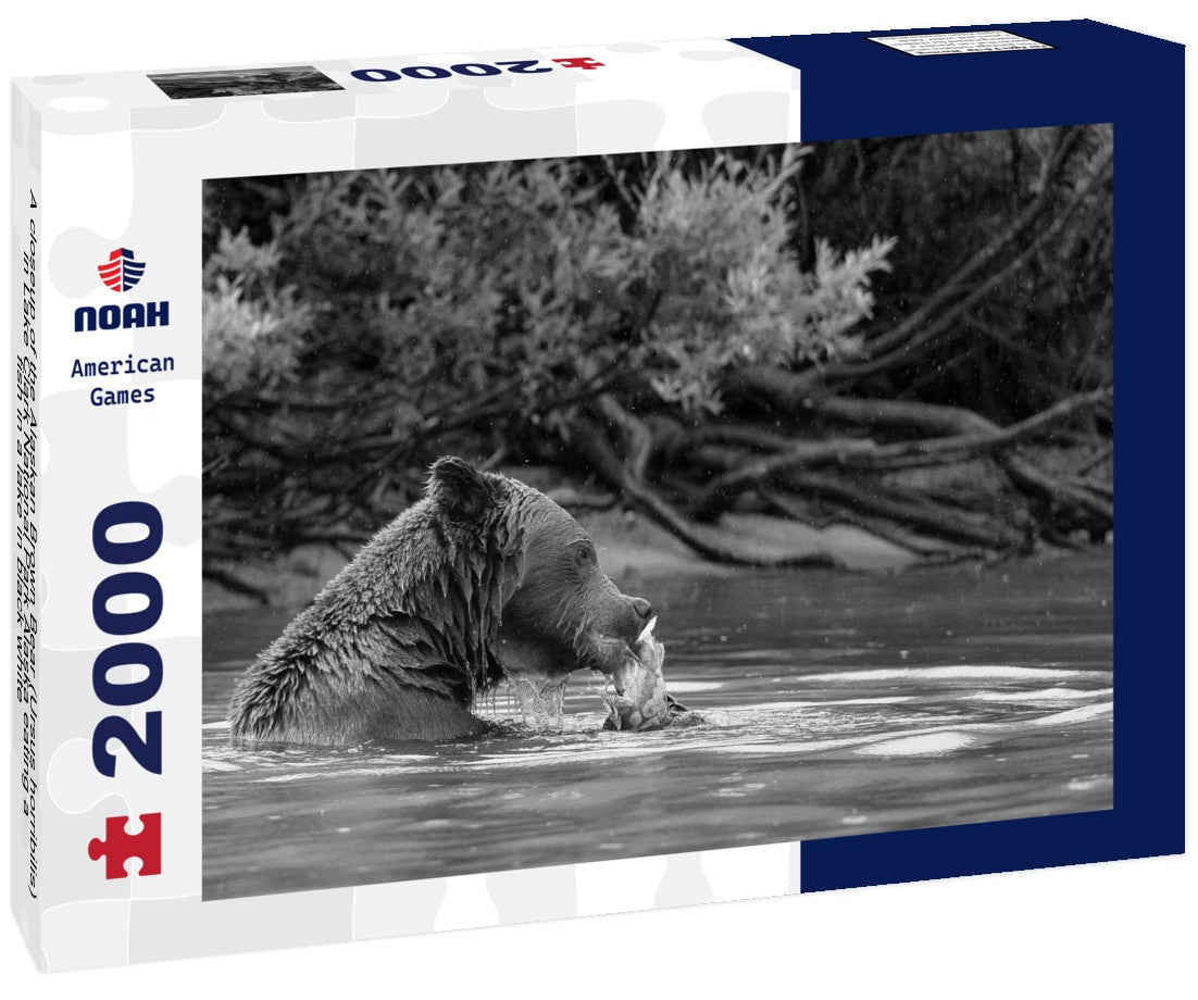 Noah Jigsaw Puzzle A closeup of the Alaskan Brown Bear (Ursus horribilis) in Lake Clark National Park Alaska eating a fish in a lake in black white 2000 pieces