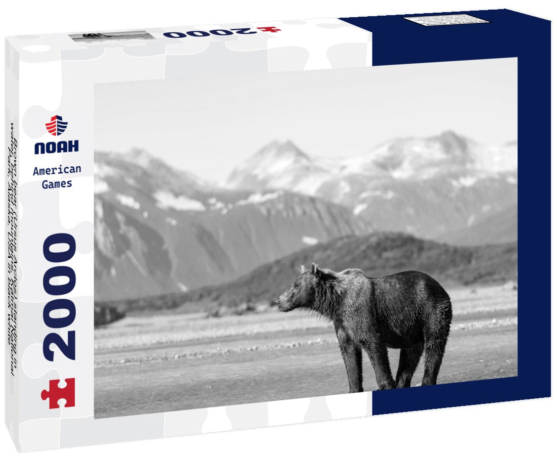 Noah Jigsaw Puzzle Brown bear (Ursus Arctos) standing in water, behind mountains, Katmai National Park, Alaska, USA in black white 2000 pieces