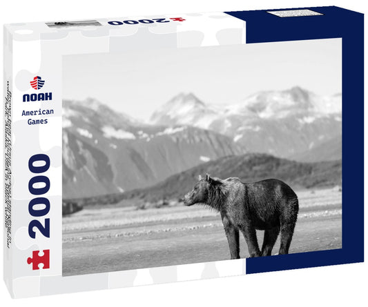 Noah Jigsaw Puzzle Brown bear (Ursus Arctos) standing in water, behind mountains, Katmai National Park, Alaska, USA in black white 2000 pieces