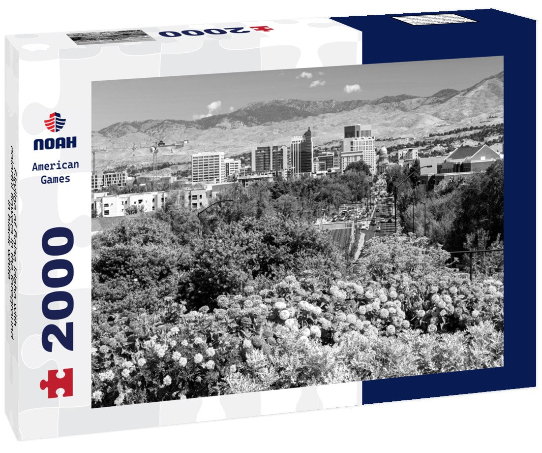 Noah Jigsaw Puzzle Skyline of Boise Idaho with colorful flowers in the foreground in black white 2000 pieces