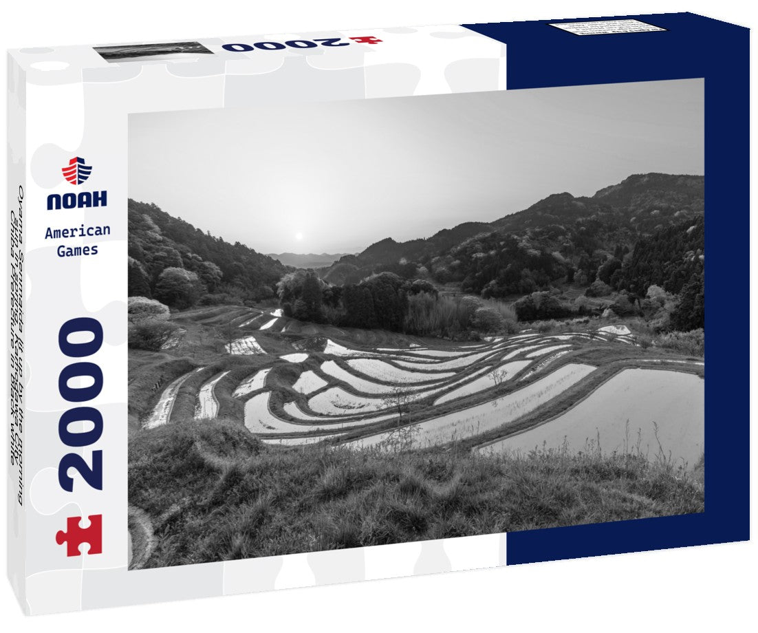 Noah Jigsaw Puzzle Oyama Senmaida lit up by the morning sun in spring, Kamogawa City, Chiba Prefecture in black white 2000 pieces