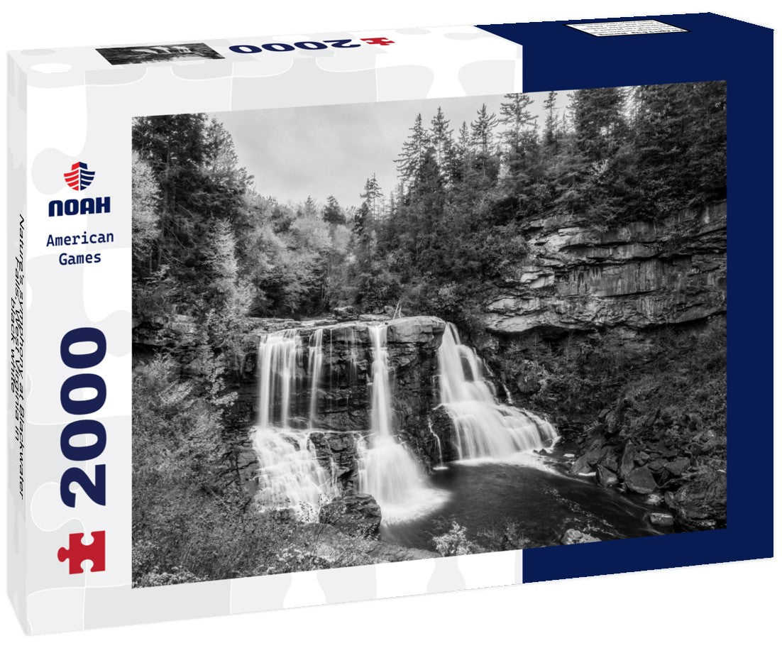 Noah Jigsaw Puzzle Nature's symphony at Blackwater Falls, West Virginia in black white 2000 pieces
