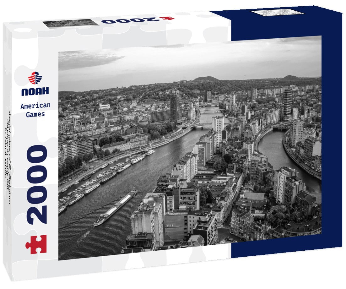 Noah Jigsaw Puzzle Aerial view of È, Belgium Skyline in early fall in black white 2000 pieces