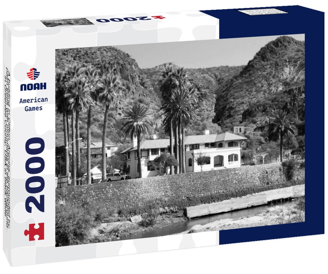 Noah Jigsaw Puzzle A building in Clifton, Arizona, surrounded by palm trees with mountains in the background, in Greenlee County, USA in black white 2000 pieces