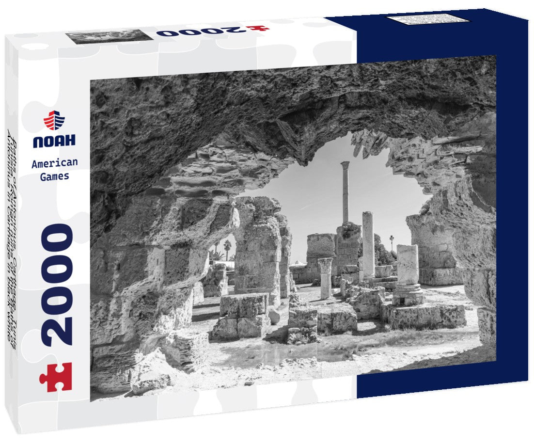 Noah Jigsaw Puzzle Baths of Antoninus, Carthage, Tunis, Tunisia. Roman ruins of the Baths of Antoninus in Carthage in black white 2000 pieces