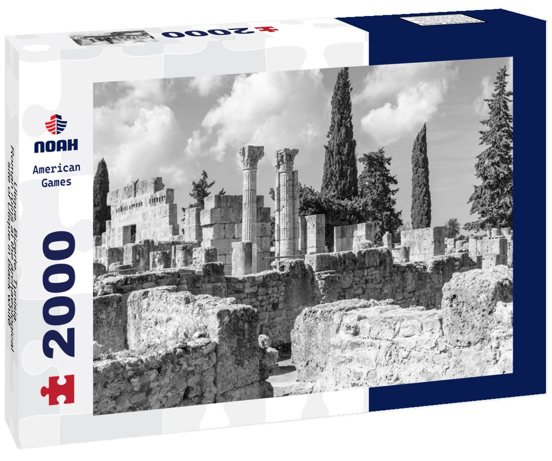 Noah Jigsaw Puzzle Utique, Bizerte, Tunisia. Roman ruins at the archaeological site of Utique in black white 2000 pieces
