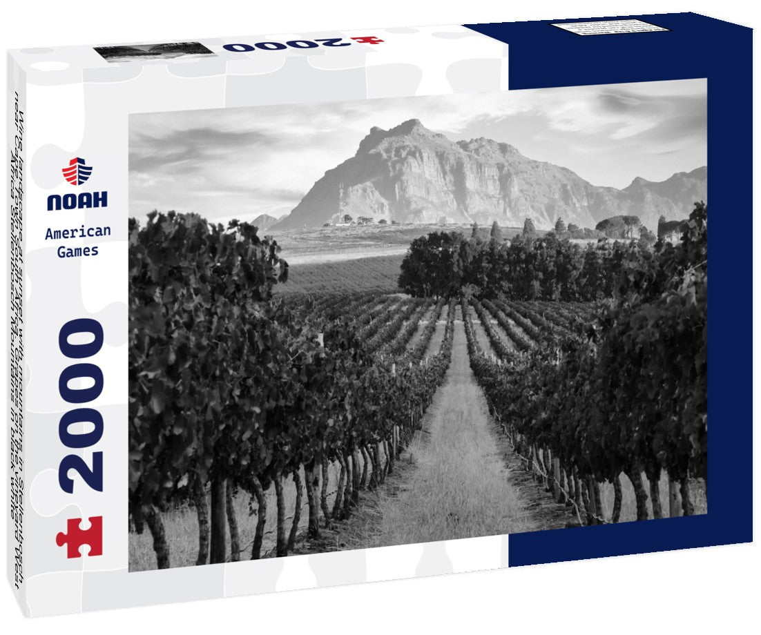 Noah Jigsaw Puzzle Wine landscape at sunset with mountains in Stellenbosch near Cape Town South Africa. Grapes on the vineyard West Africa Stellenbosch Mountains in black white 2000 pieces
