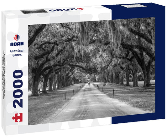 Noah Jigsaw Puzzle Boone Hall Plantation in Charleston, South Carolina, USA in black white 2000 pieces