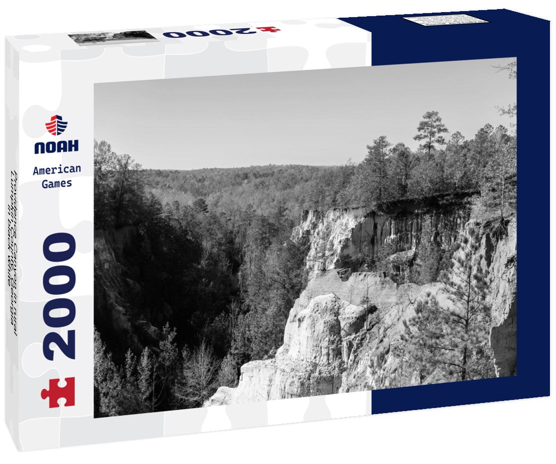Noah Jigsaw Puzzle Providence Canyon in rural Lumpkin County, Georgia in black white 2000 pieces