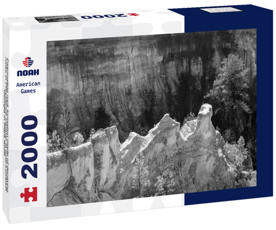 Noah Jigsaw Puzzle Fascinating rock formation made of decaying rocks in Providence Canyon in rural Lumpkin, Georgia in black white 2000 pieces