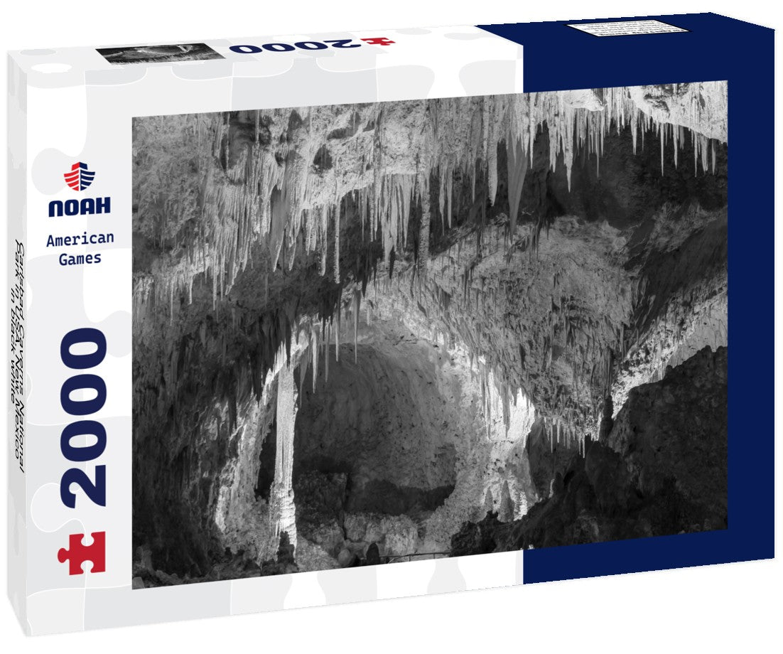 Noah Jigsaw Puzzle Carlsbad Caverns National Park in USA, New Mexico in black white 2000 pieces