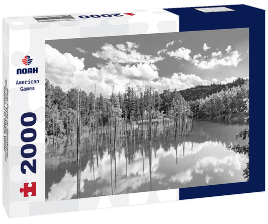 Noah Jigsaw Puzzle Blue Pond at Shirokane, Biei-cho, Hokkaido (summer season) in black white 2000 pieces