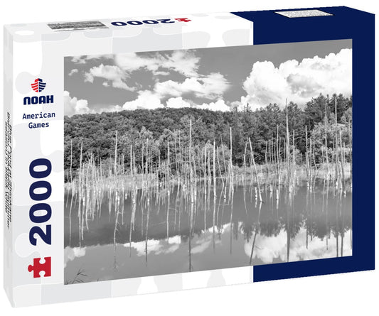 Noah Jigsaw Puzzle Blue Pond at Shirokane, Biei-cho, Hokkaido (summer season) in black white 2000 pieces
