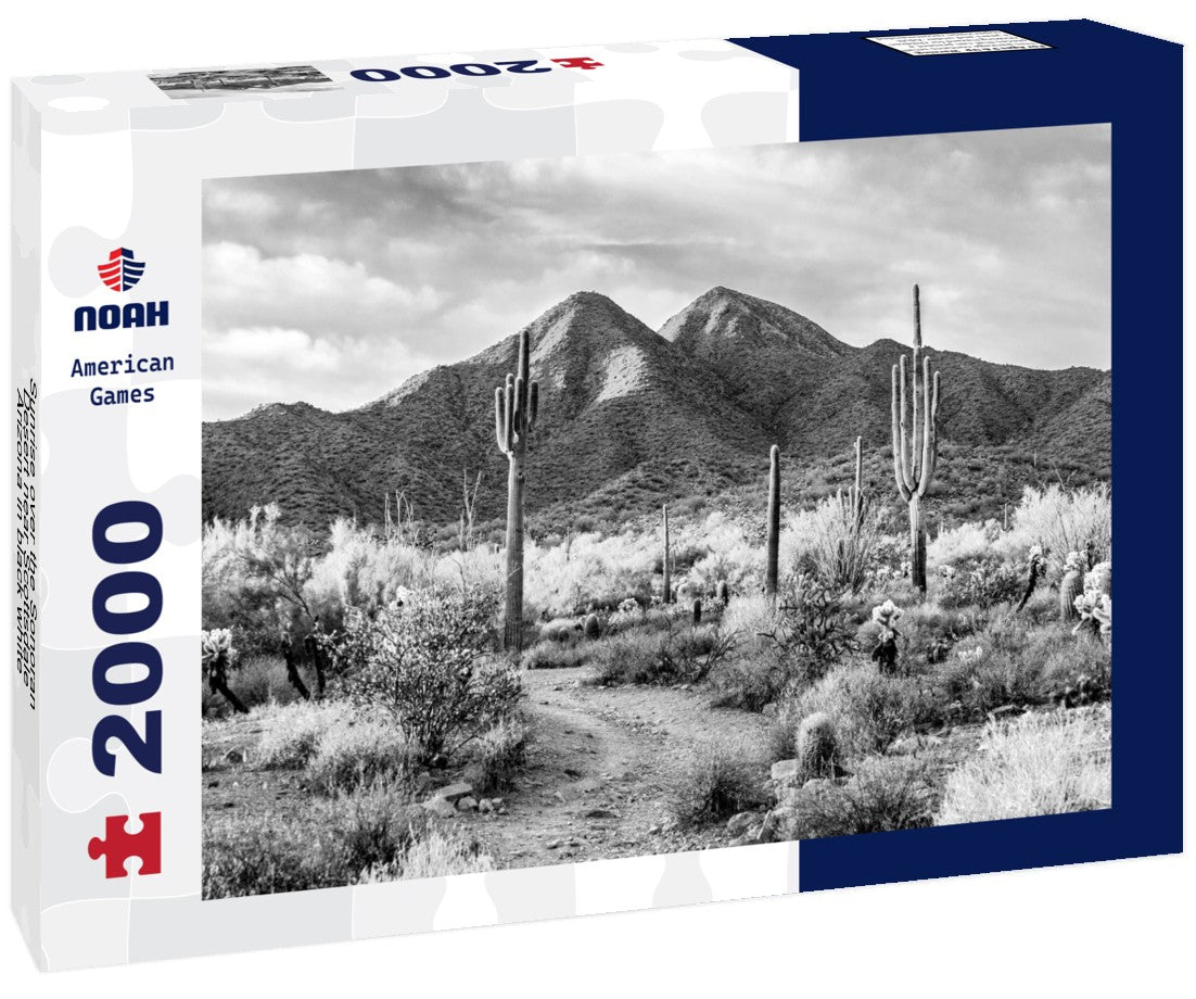 Noah Jigsaw Puzzle Sunrise over the Sonoran Desert near Scottsdale, Arizona in black white 2000 pieces