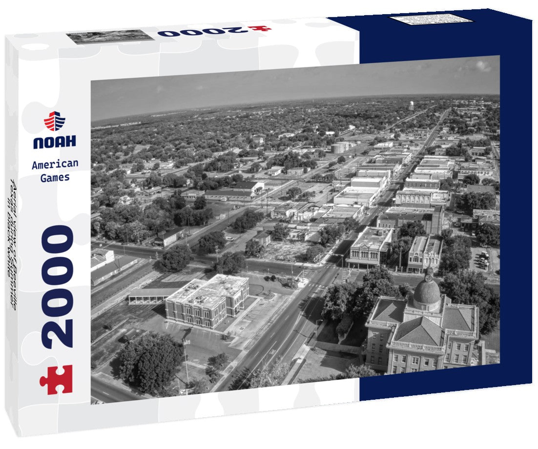 Noah Jigsaw Puzzle Aerial view of Beeville, Texas during Summer in black white 2000 pieces