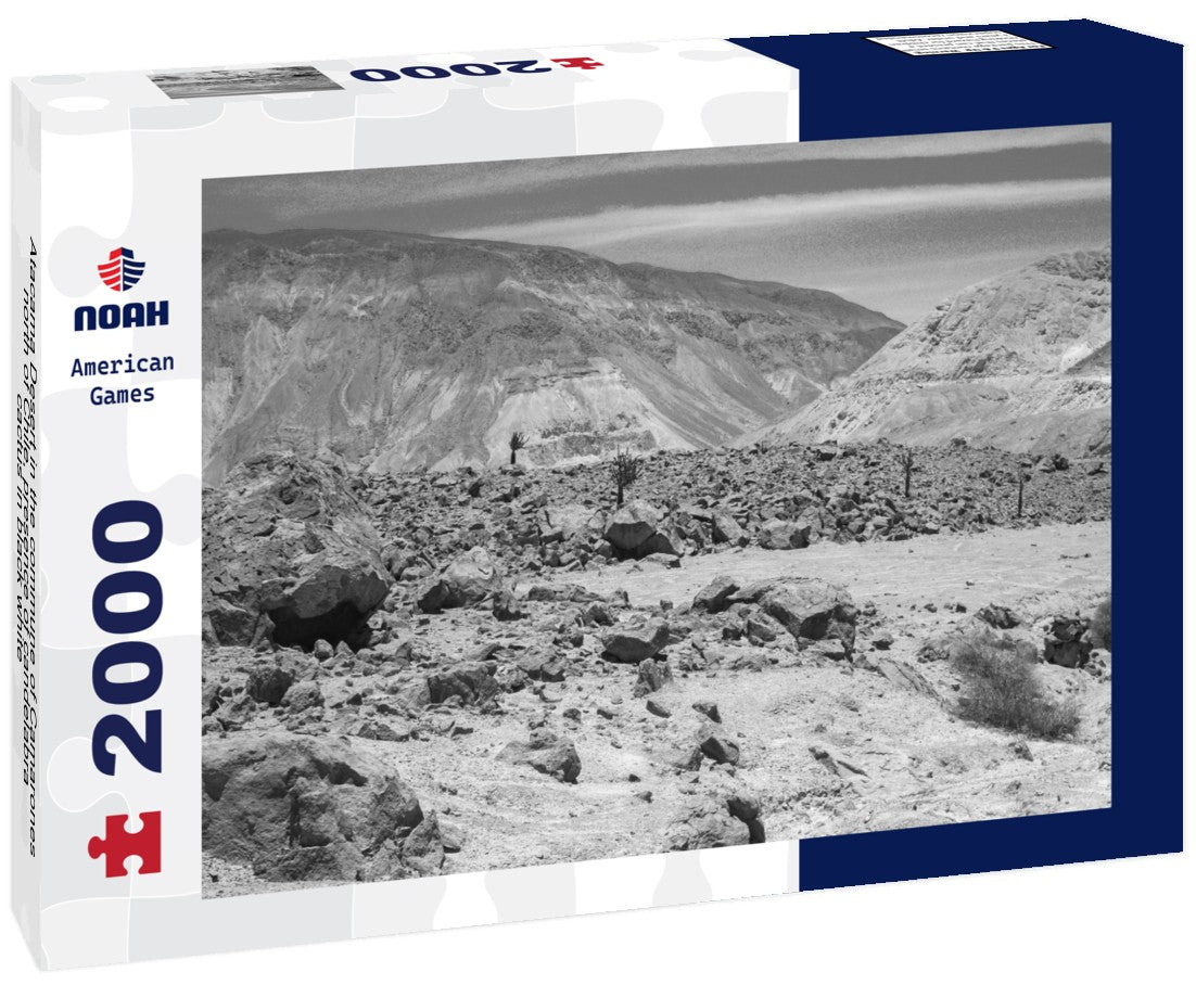 Noah Jigsaw Puzzle Atacama Desert in the commune of Camarones, north of Chile, presence of candelabra cactus in black white 2000 pieces