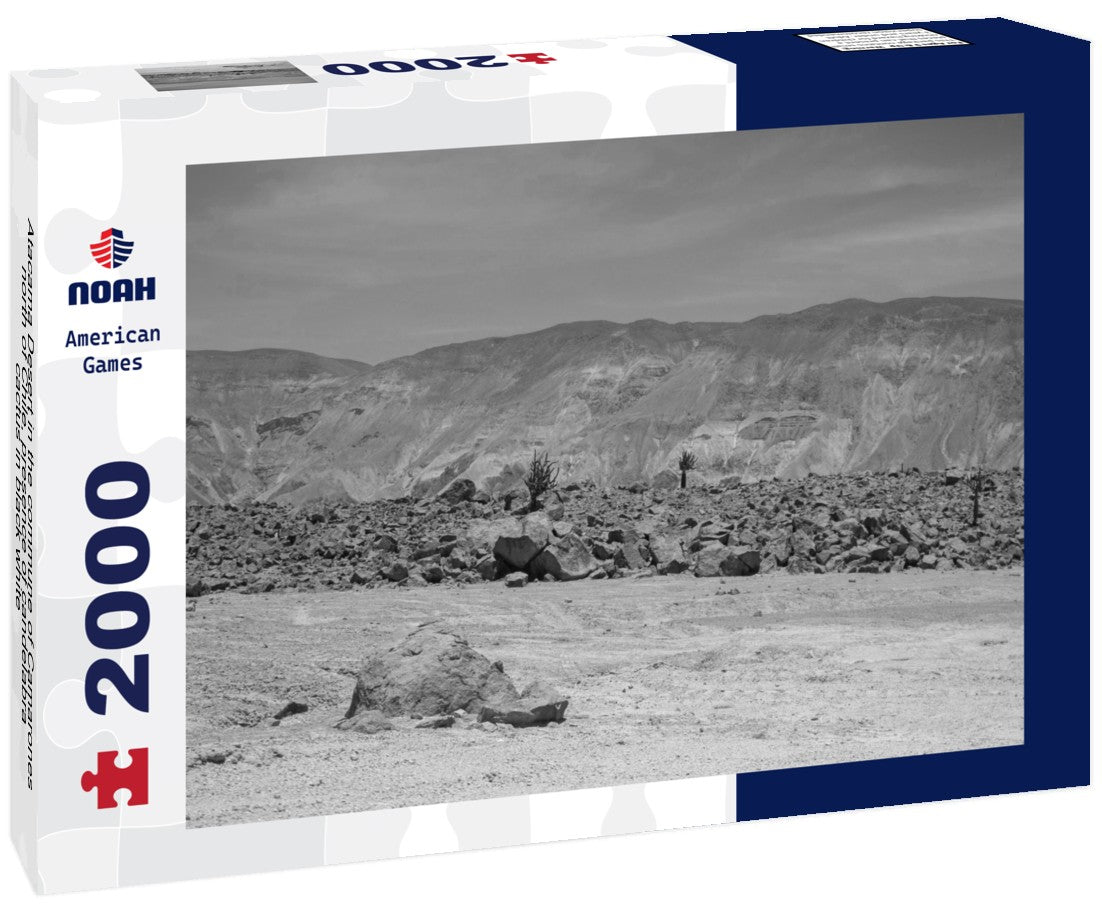 Noah Jigsaw Puzzle Atacama Desert in the commune of Camarones, north of Chile, presence of candelabra cactus in black white 2000 pieces