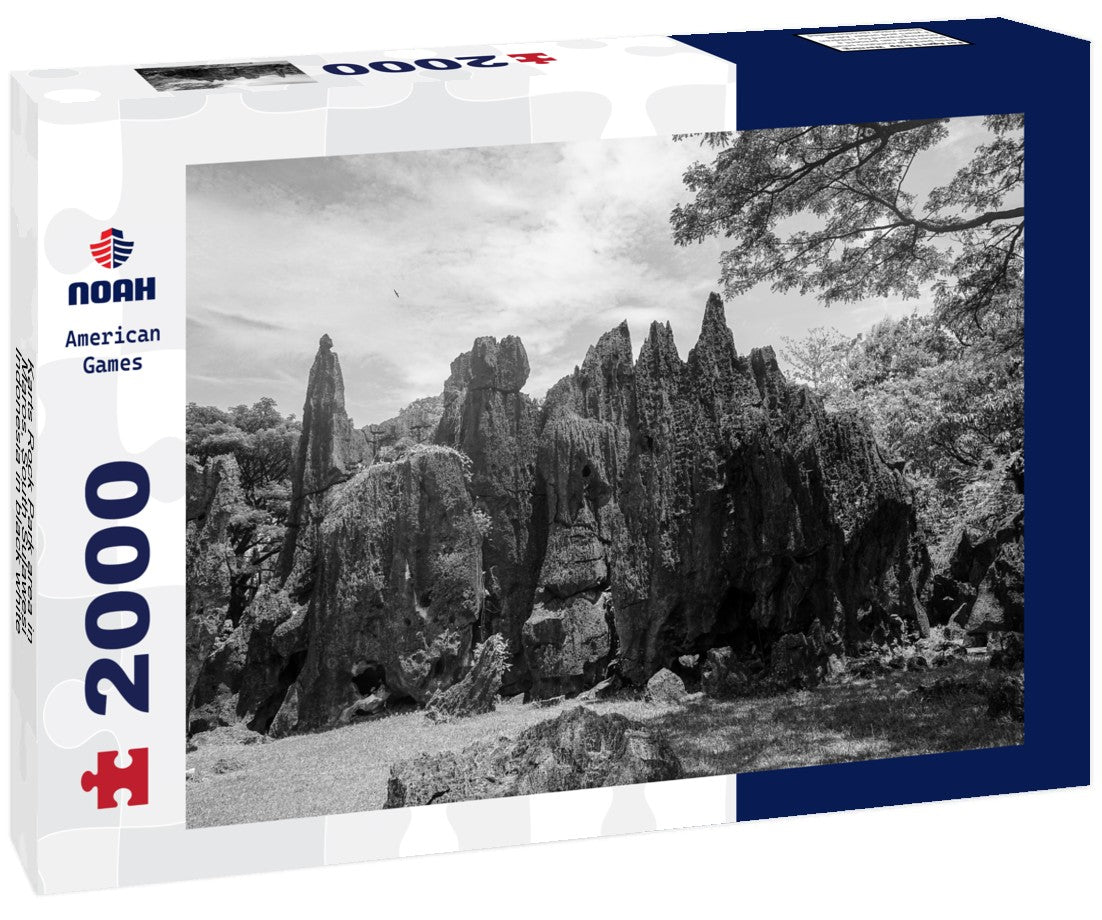 Noah Jigsaw Puzzle Karts Rock Park area in Maros, South Sulawesi, Indonesia in black white 2000 pieces