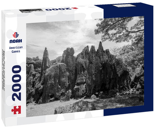 Noah Jigsaw Puzzle Karts Rock Park area in Maros, South Sulawesi, Indonesia in black white 2000 pieces