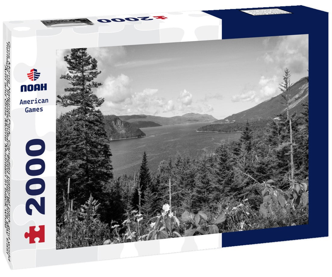 Noah Jigsaw Puzzle Gros Morne National Park, Canadian national park and world heritage site in Newfoundland. Fjord Inner Bonne Bay East Arm and Gros Morne Mountain in black white 2000 pieces