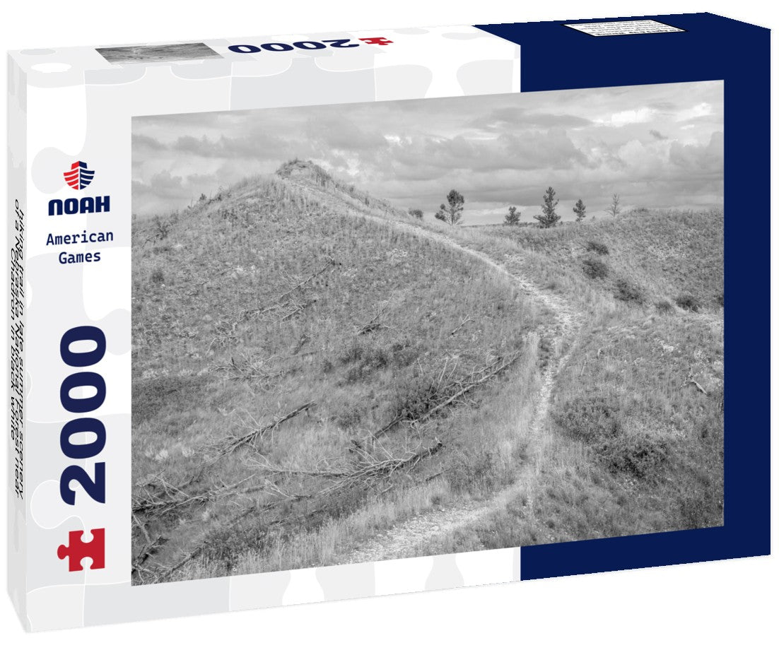 Noah Jigsaw Puzzle hiking trail in late summer scenery of a Nebraska National Forest near Chadron in black white 2000 pieces